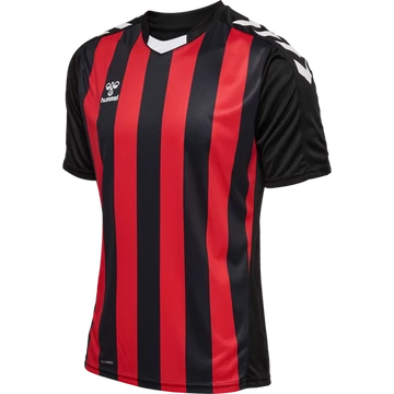 hmlCORE XK STRIPED JERSEY S/S