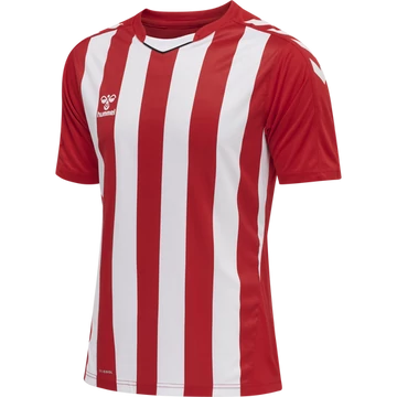 hmlCORE XK STRIPED JERSEY S/S