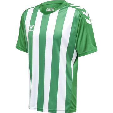 hmlCORE XK STRIPED JERSEY S/S