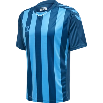 hmlCORE XK STRIPED JERSEY S/S