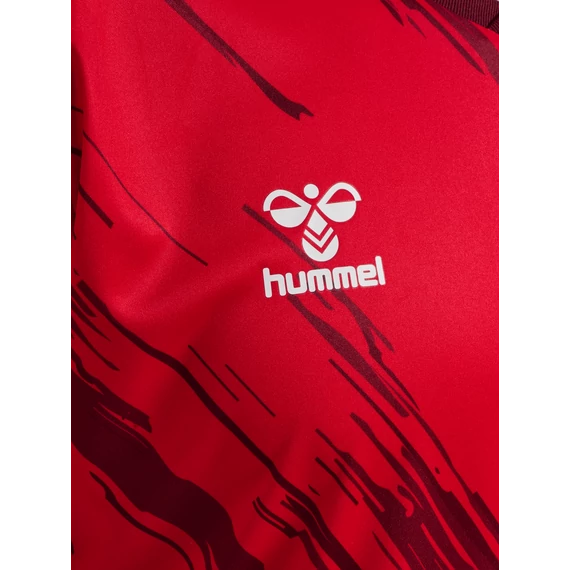 hmlTRIUMPH JERSEY S/S mez