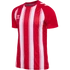 Kép 1/5 - hmlMATCH STRIPED JERSEY S/S mez