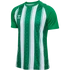 Kép 1/5 - hmlMATCH STRIPED JERSEY S/S mez