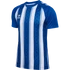 Kép 1/5 - hmlMATCH STRIPED JERSEY S/S mez